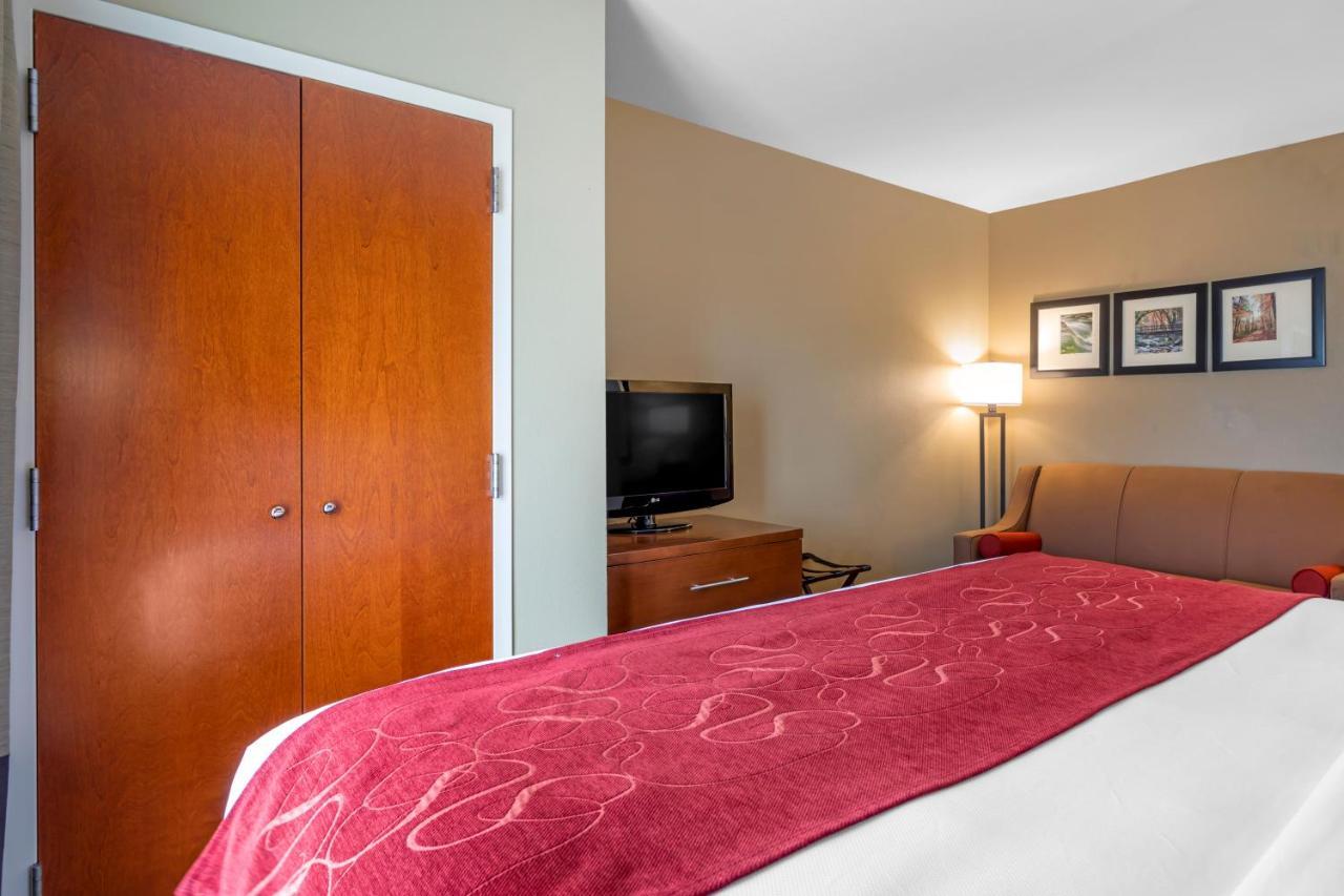 Comfort Suites North Knoxville Extérieur photo