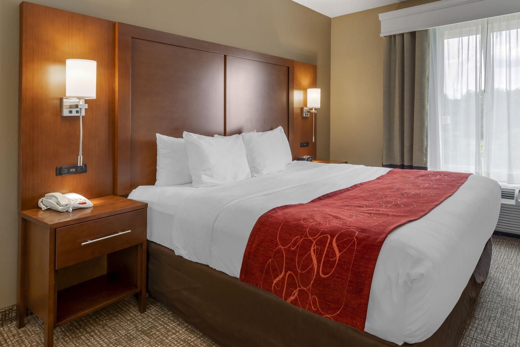 Comfort Suites North Knoxville Extérieur photo
