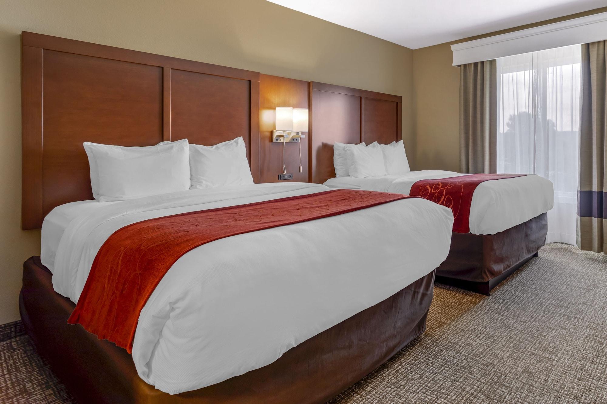 Comfort Suites North Knoxville Extérieur photo