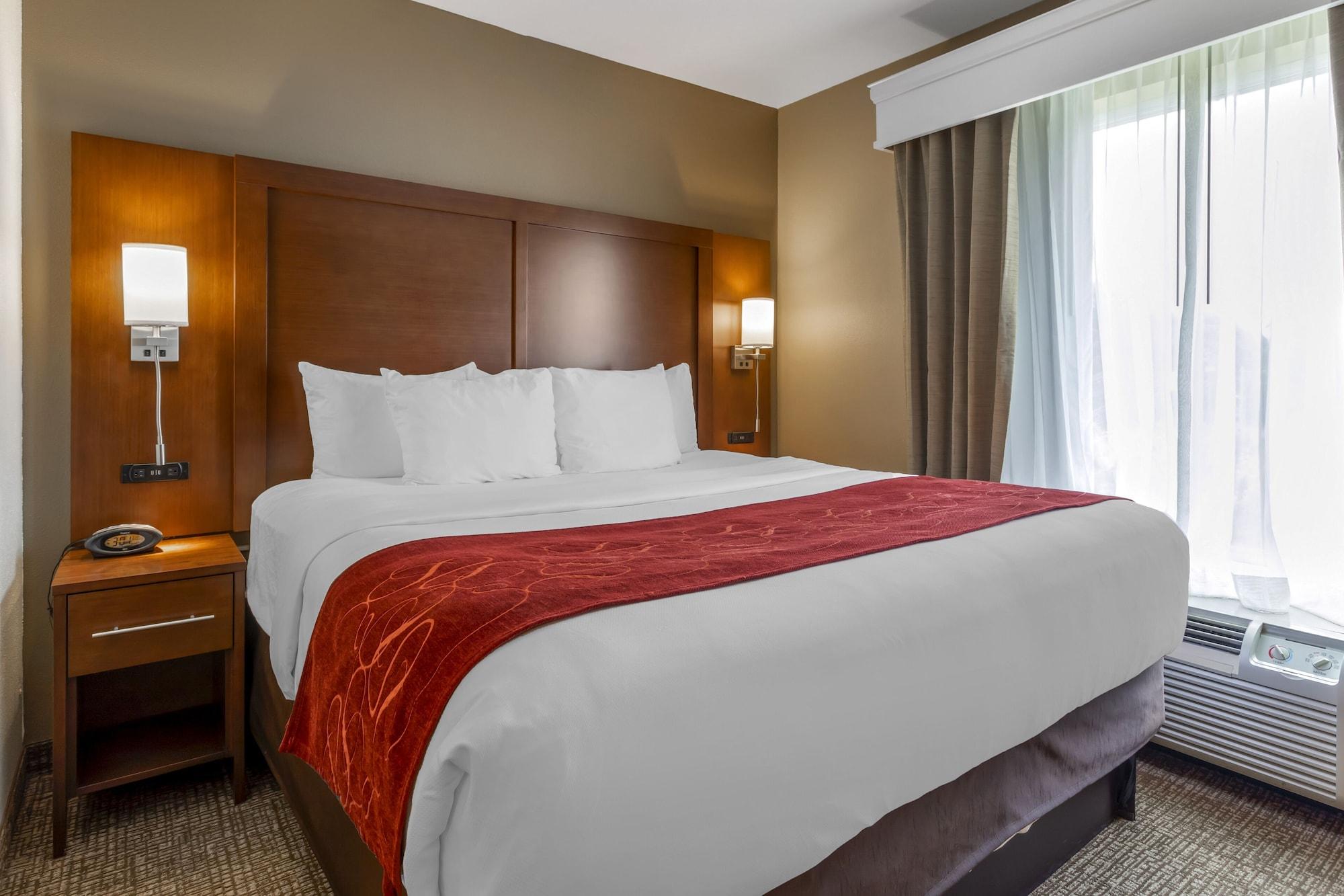 Comfort Suites North Knoxville Extérieur photo